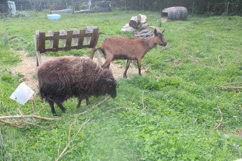 Children's activities