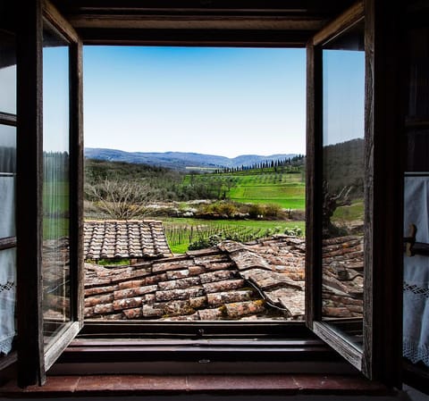 Classic Double Room, Garden View | View from room