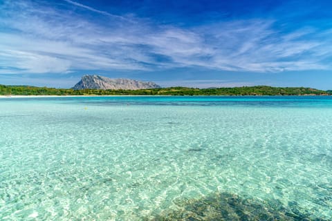 Beach nearby, white sand, beach shuttle, beach umbrellas