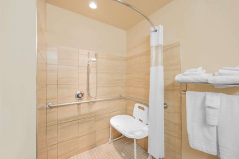 Combined shower/tub, free toiletries, hair dryer, towels