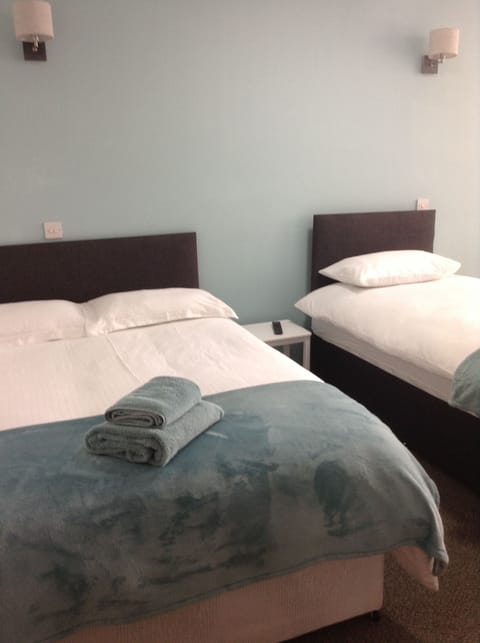 Standard Triple Room, Multiple Beds, Non Smoking | Desk, soundproofing, iron/ironing board, free WiFi