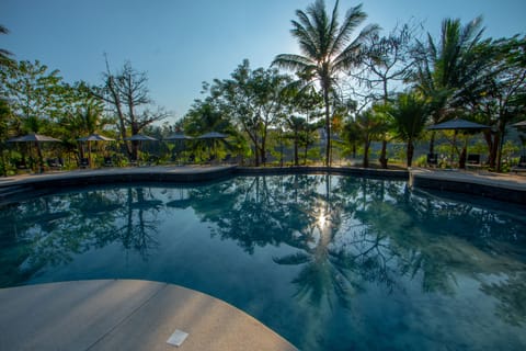 Outdoor pool, pool umbrellas, sun loungers