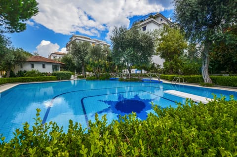 Seasonal outdoor pool, sun loungers