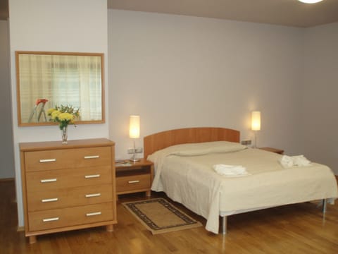 Luxury Double Room | Minibar, in-room safe, iron/ironing board, free cribs/infant beds