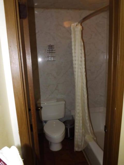 Combined shower/tub, free toiletries, hair dryer, towels