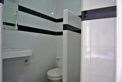 Basic Triple Room, Multiple Beds, Non Smoking | Bathroom | Shower, free toiletries, hair dryer, towels