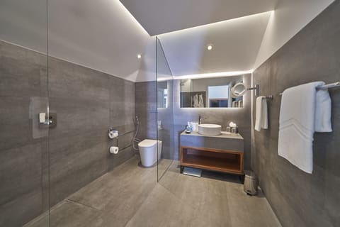 Artistic Suite | Bathroom | Separate tub and shower, hair dryer, bathrobes, slippers