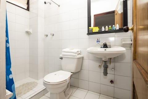 Triple Room | Bathroom | Shower, free toiletries, bidet, towels