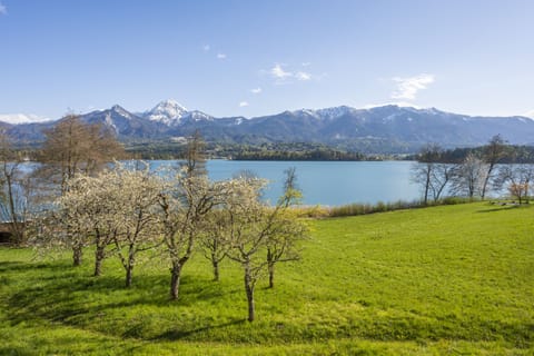Standard Room (Faakersee) | View from room
