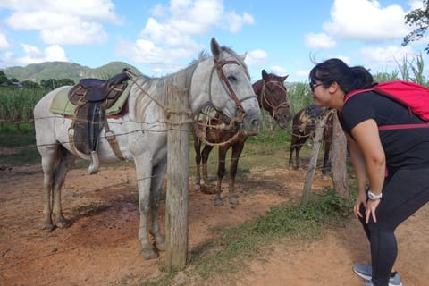 Horseback riding