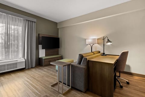 Suite, Multiple Beds, Accessible, Non Smoking (Efficiency) | Pillowtop beds, in-room safe, desk, iron/ironing board