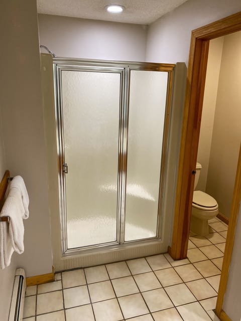 Combined shower/tub, free toiletries, hair dryer, towels