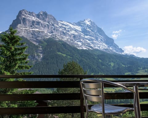 Panoramic Double Room, Balcony, Mountain View (Eiger) | Mountain view