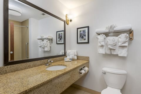 Suite, Multiple Beds, Non Smoking | Bathroom | Combined shower/tub, free toiletries, hair dryer, towels