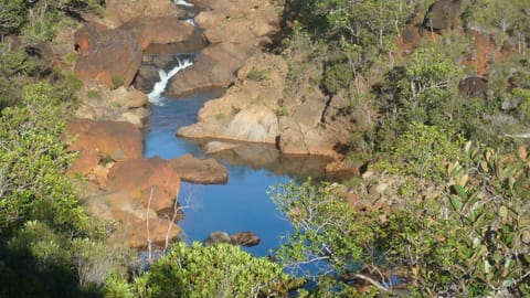 Hiking