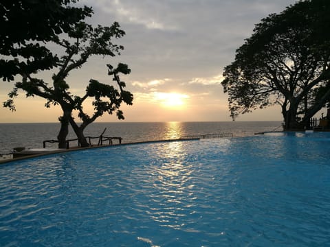 Outdoor pool, pool umbrellas, sun loungers