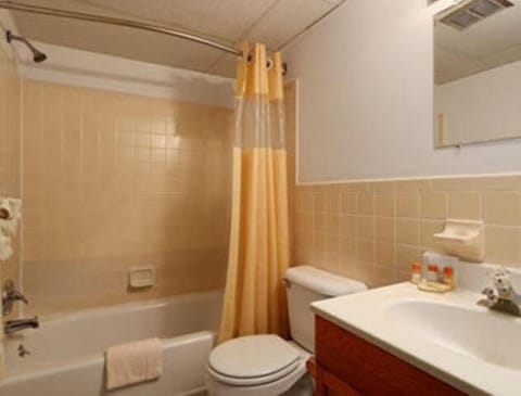 Combined shower/tub, deep soaking tub, hair dryer, towels