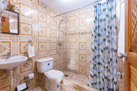 Double or Twin Room | Bathroom | Shower, hair dryer, towels