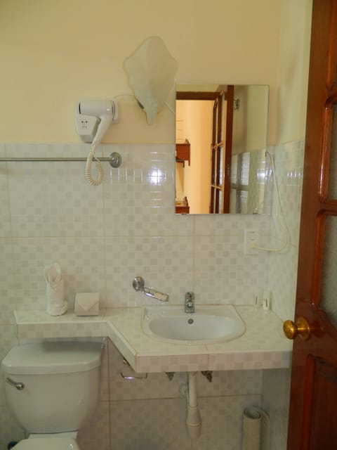 Twin Room | Bathroom | Shower, free toiletries, hair dryer, towels