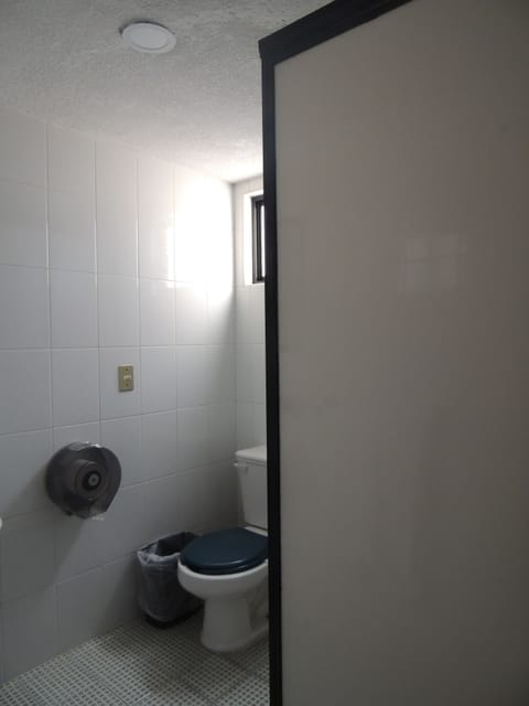 Traditional Double Room, Multiple Beds, Non Smoking | Bathroom | Shower, free toiletries, hair dryer, towels