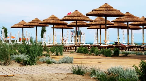 On the beach, sun loungers, beach umbrellas, beach towels
