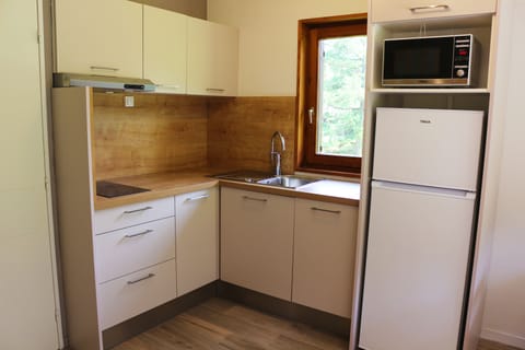 Apartment, Multiple Beds | Private kitchen | Fridge, microwave, oven, stovetop