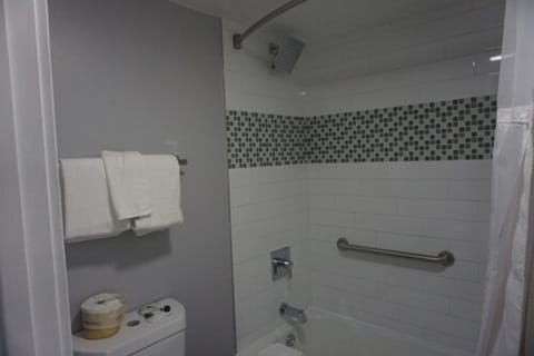 Combined shower/tub, free toiletries, hair dryer, towels