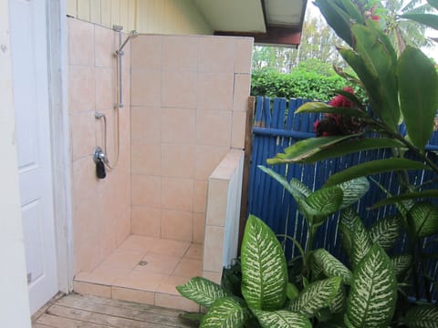 House, 2 Bedrooms, Balcony, Hill View | Bathroom shower