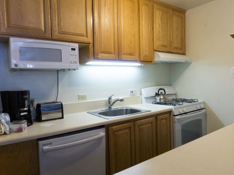 Studio | Private kitchen | Fridge, microwave, oven, dishwasher