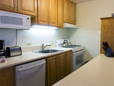 Studio | Private kitchen | Fridge, microwave, oven, dishwasher