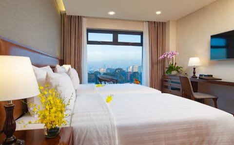 Premium Double or Twin Room | City view