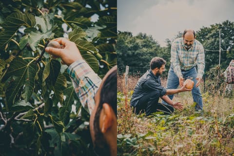 Breakfast, lunch, dinner served; Italian cuisine 