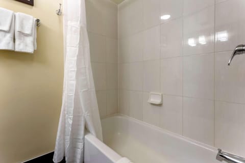 Combined shower/tub, hair dryer, towels