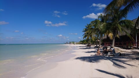 Beach shuttle, beach towels