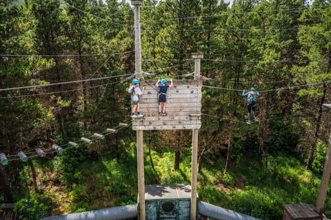 Ropes course (team building)