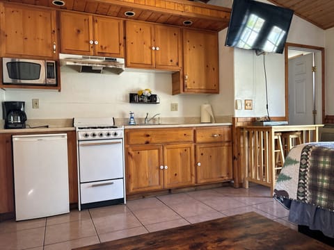 Family Cabin, River Front, River View, Patio #2 | Private kitchen | Fridge, microwave, coffee/tea maker, toaster