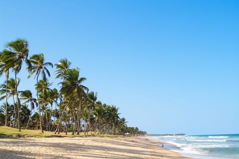 Beach nearby, white sand