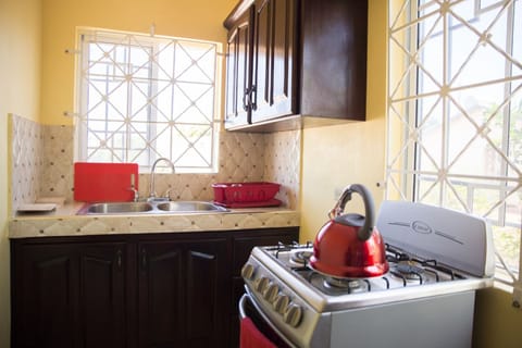 Family Apartment, 2 Bedrooms | Private kitchen | Full-size fridge, microwave, oven, stovetop