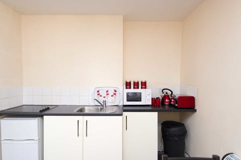 Deluxe Studio, Multiple Beds | Private kitchenette | Full-size fridge, microwave, electric kettle, toaster