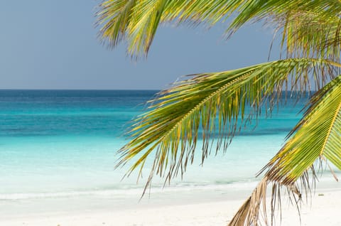 Private beach, white sand, sun loungers, beach umbrellas