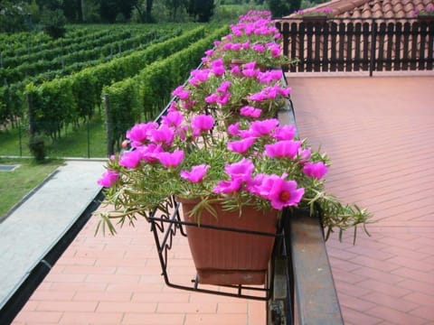 Comfort Apartment, 2 Bedrooms, Balcony | Balcony