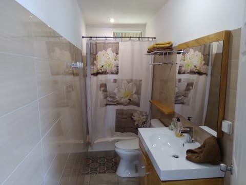 Classic Double Room, 1 Queen Bed, Lagoon View | Bathroom | Shower, hair dryer, towels, shampoo