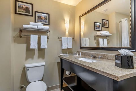 Suite, Non Smoking | Bathroom | Shower, free toiletries, hair dryer, towels