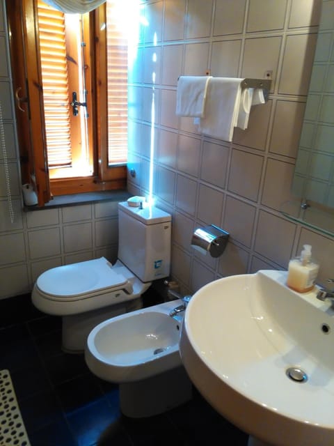 Shower, hair dryer, bidet