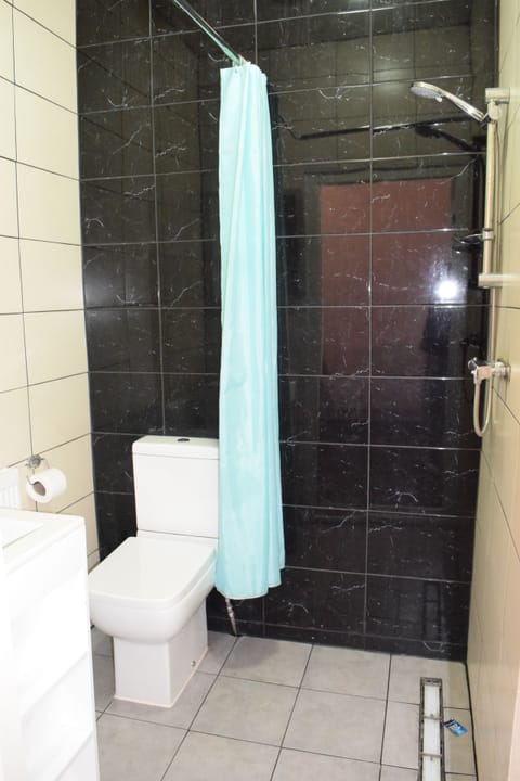 Separate tub and shower, towels, toilet paper