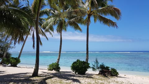 Beach nearby, white sand, snorkeling, kayaking