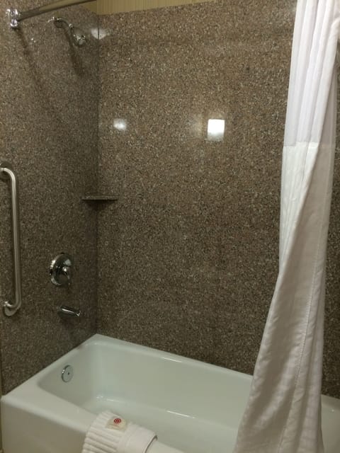 Combined shower/tub, free toiletries, hair dryer, towels