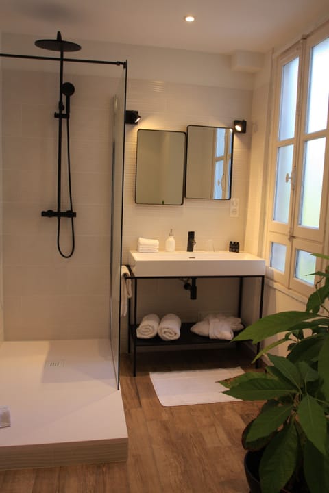 Double Room (Jehan Dunois) | Bathroom amenities | Shower, rainfall showerhead, free toiletries, hair dryer