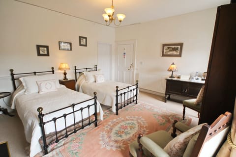 Deluxe Twin Room (Holly) | Individually decorated, individually furnished, laptop workspace