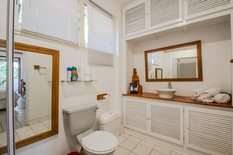 Room, Ensuite | Bathroom | Shower, hair dryer, towels